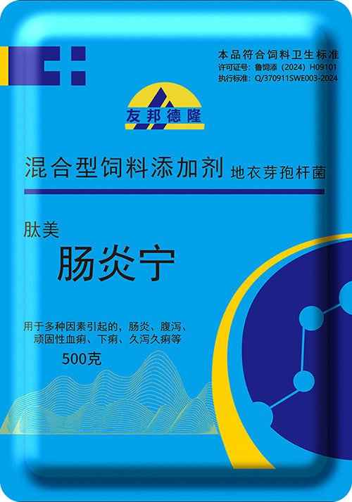 肠炎宁