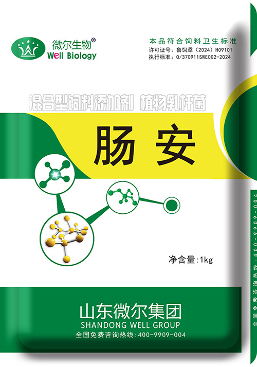 肠安