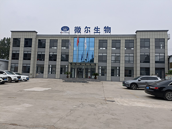 办公楼