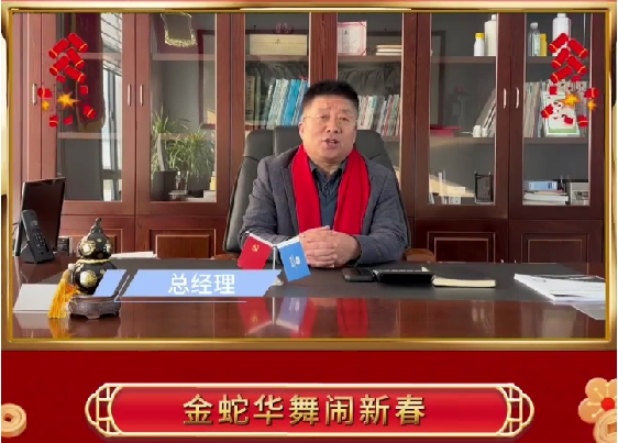 祥龙贺岁辞旧去，金蛇华舞闹新春