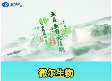 微尔生物祝大家端午安康